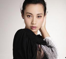 成青个人资料